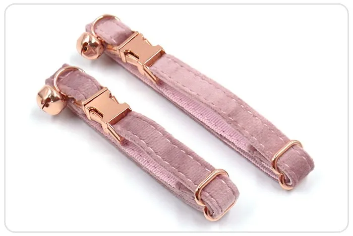 kitten safety collar kitten safety collar